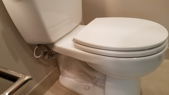 20180424_110132.jpg